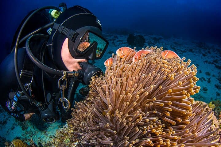 Passions of Paradise: Outer Great Barrier Reef Catamaran Day Trip from Cairns photo 5