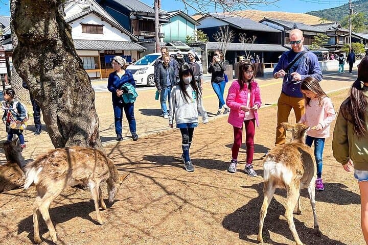 16-Day Japan and China Discovery: Private Guided Cultural and Scenic Highlights photo 2