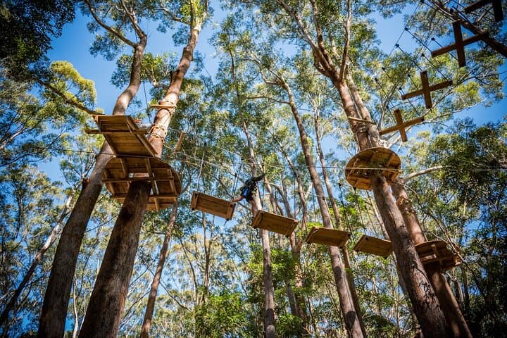 Treetops Adventure Coffs Harbour: Canopy Ropes Course & 14 Ziplines