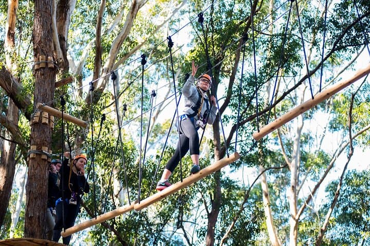 Treetops Adventure Coffs Harbour: Canopy Ropes Course & 14 Ziplines photo 2