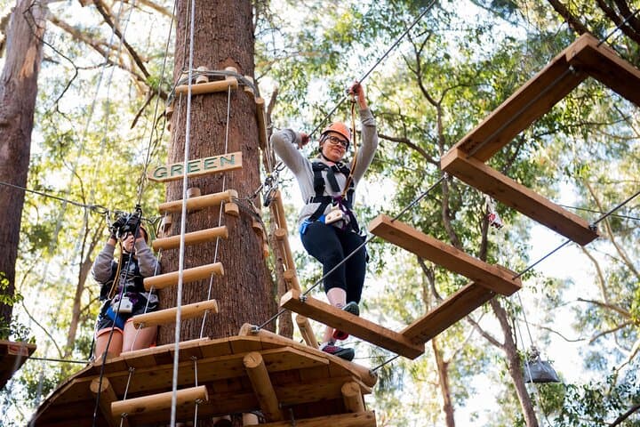 Treetops Adventure Coffs Harbour: Canopy Ropes Course & 14 Ziplines photo 4