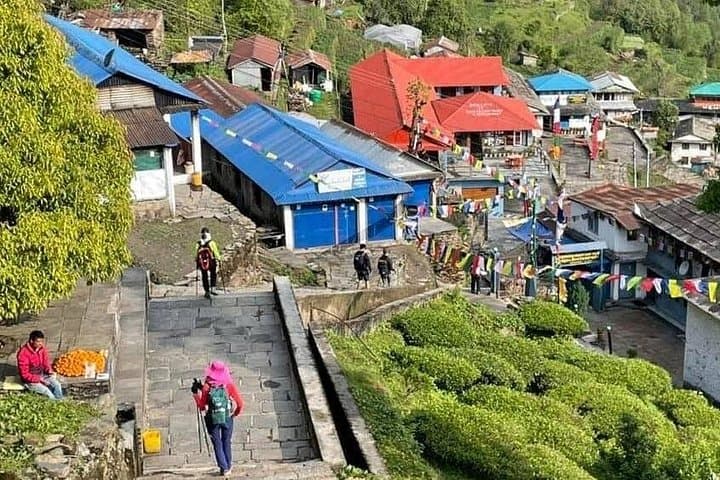 5-Day Annapurna Base Camp Trek from Pokhara: Short Himalayan Trek to ABC photo 4