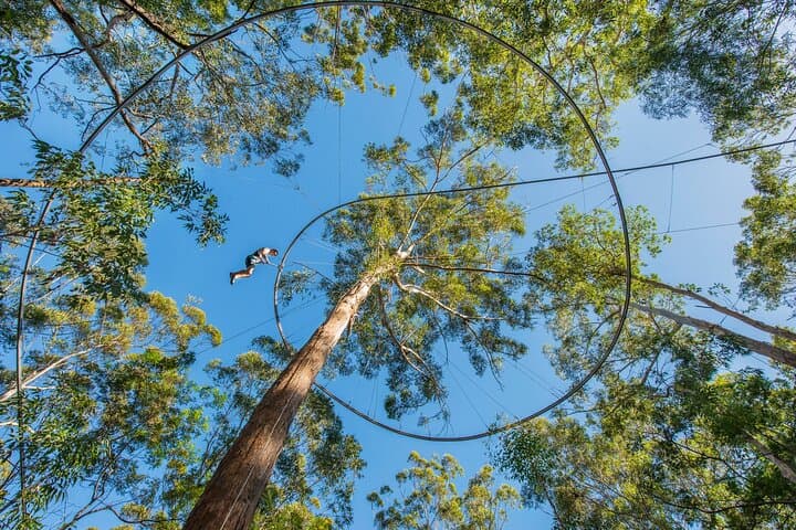 Western Sydney Zipcoaster: Australia’s Fastest 330m Adrenaline Ride photo 2