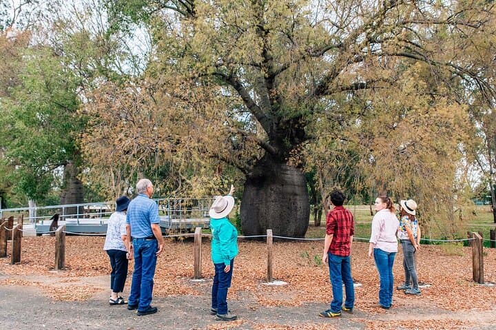 Roma Revelation: Morning History & Outback Town Tour in Queensland