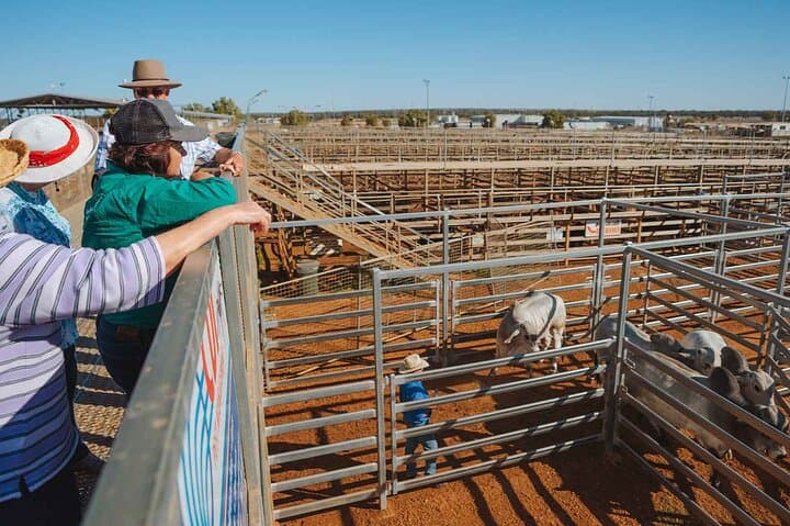 Roma Revelation: Morning History & Outback Town Tour in Queensland photo 5