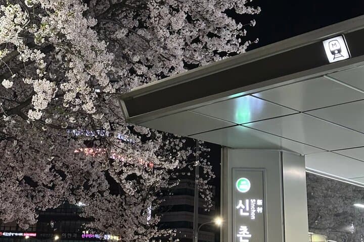 Seoul Cherry Blossom Private Sightseeing Tour | Seokchon, Yeouido & Seoul Forest photo 2