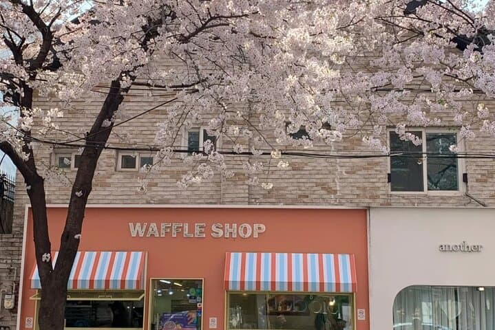 Seoul Cherry Blossom Private Sightseeing Tour | Seokchon, Yeouido & Seoul Forest photo 4