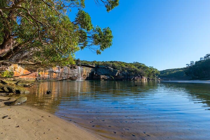 Royal National Park Private Day Tour from Sydney — Coastal Cliffs, Beaches & Rainforest photo 5