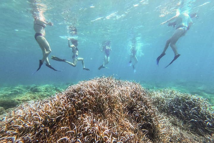 Kayak and Snorkel the Posidonia Meadows of Sant Elm, Mallorca