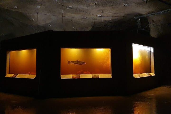 Kristiansand Wild Salmon Center Guided Tour: Kvåsfossen & Fish Ladder photo 3