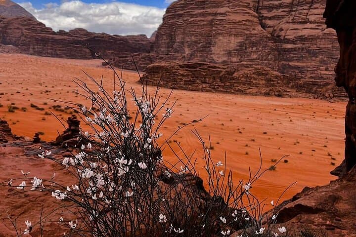 Wadi Rum Jeep & Camel Adventure: Trek, Camp and Sleep Under the Stars photo 2