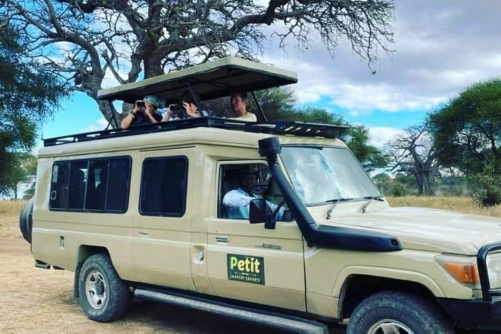 Longido Two-Day Climb and Walking Safari: Maasai Culture, Summit Views & Wildlife photo 5