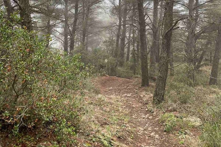 Hike Mount Hymettus: Athens Day Hike to Kaisariani Monastery and Anthousa Tower photo 4