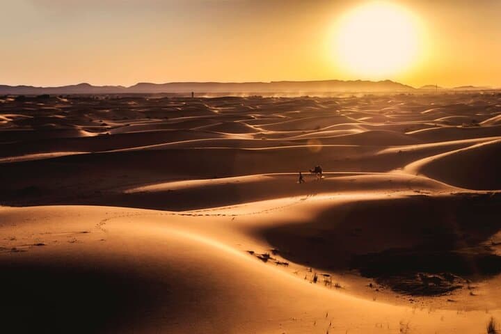 5-Day Fes to Marrakech via Merzouga: Sahara Camel Trek, Todra Gorge & Ait Ben Haddou photo 2