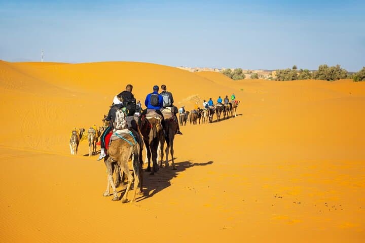 5-Day Fes to Marrakech via Merzouga: Sahara Camel Trek, Todra Gorge & Ait Ben Haddou photo 3