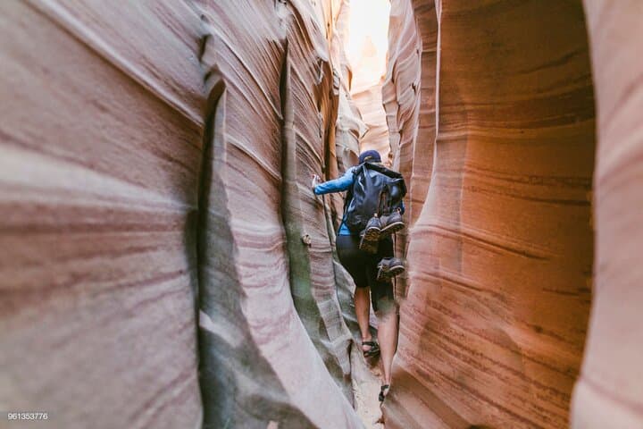 Petra Day Tour — Explore the Rose City, Siq & Monastery (Full-Day Guide) photo 4