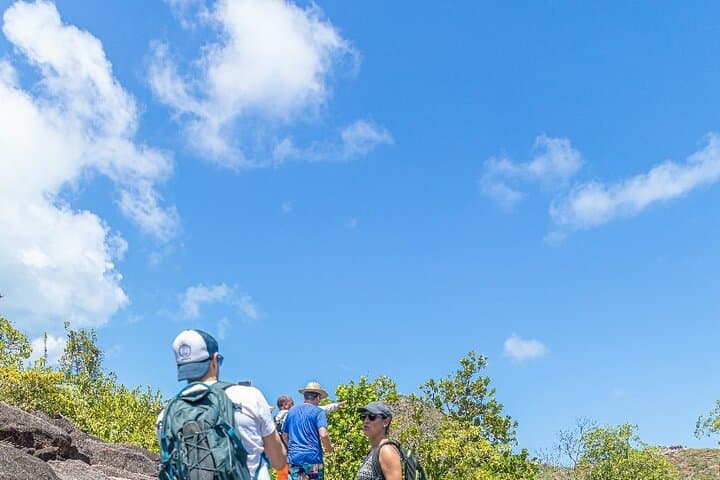 Half-Day Curieuse & St Pierre Island Cruise — Giant Tortoises, Mangroves and Snorkeling photo 3