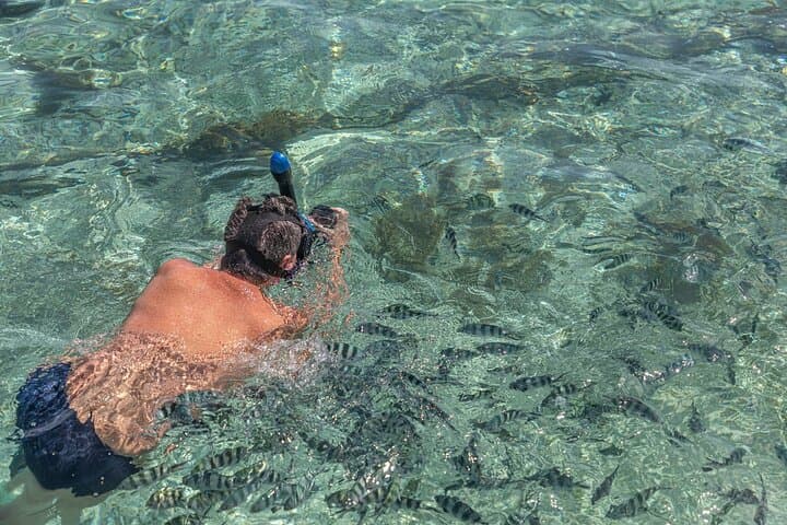 Half-Day Curieuse & St Pierre Island Cruise — Giant Tortoises, Mangroves and Snorkeling photo 5