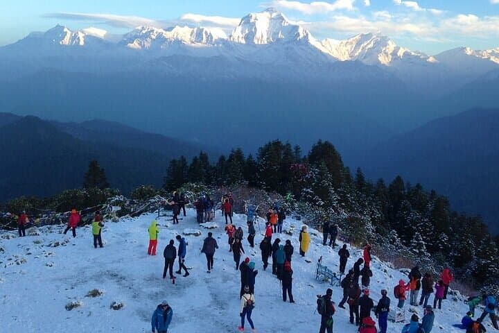 Poon Hill Sunrise Trek: 5-Day Ghorepani Loop from Pokhara photo 6
