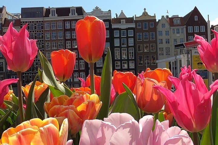 Amsterdam Highlights and Hidden Gems Walking Tour — Local Stories & Canals photo 5