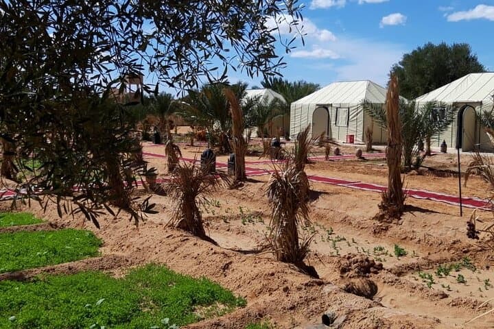 Overnight in Merzouga Desert: Sleep Under Saharan Stars at a Berber Camp photo 3