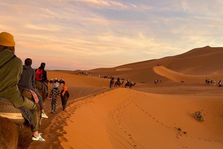 2-Day Marrakech to Merzouga Sahara Adventure: Desert Camp & Camel Trek to Fes photo 2