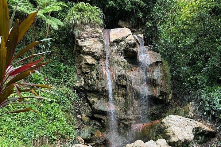 Soufriere Catamaran to Sapphire Falls: Full-Day Hike, Swim & Creole Lunch photo 1