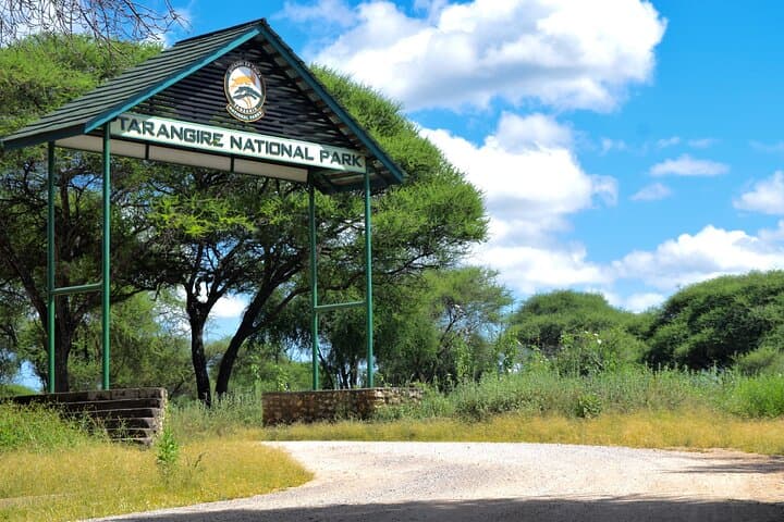 Tarangire National Park Day Trip: Big Five Safari from Arusha photo 2