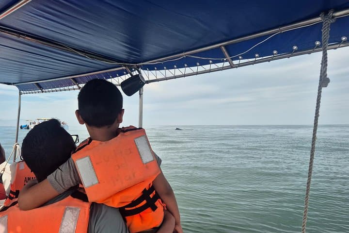 Private Sunset Whale-Watching & Seawall Cruise in Puerto Vallarta Bay photo 4