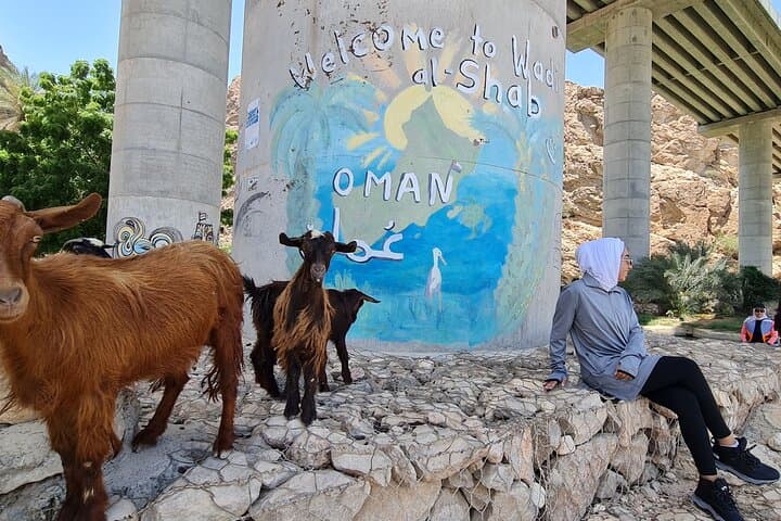 Wadi Shab Day Trip from Muscat: Hiking, Swimming & Bimmah Sinkhole photo 6