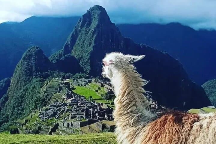 Two-Day Sacred Valley and Machu Picchu Highlights: A Compact Inca Journey