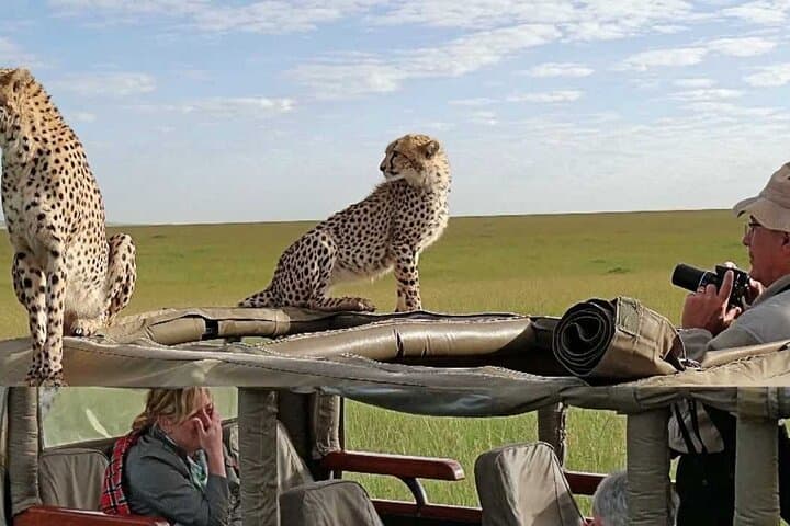 Affordable 5-Day Kenya Safari: Amboseli, Tsavo West & Tsavo East photo 4