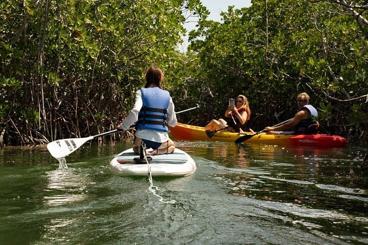 Key West Hidden Sanctuary Kayak Tour — Mud Keys Mangroves & Jewfish Basin Sandbar