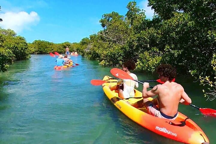 Key West Hidden Sanctuary Kayak Tour — Mud Keys Mangroves & Jewfish Basin Sandbar photo 3
