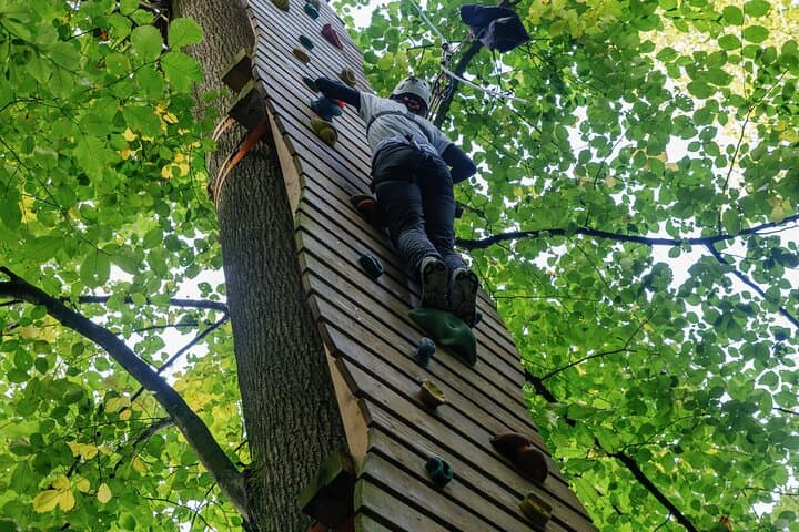 Ropes Park Rigi: High-Ropes Adventure on Mount Rigi photo 2