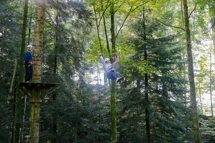 Ropes Park Rigi: High-Ropes Adventure on Mount Rigi photo 3