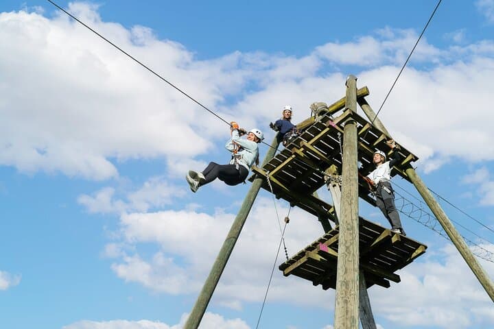 Ropes Park Rigi: High-Ropes Adventure on Mount Rigi photo 5