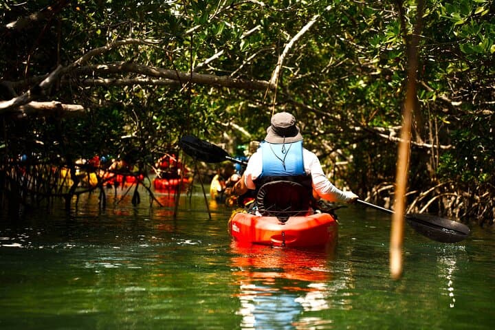 Key West Hidden Sanctuary Kayak Tour — Mud Keys Mangroves & Jewfish Basin Sandbar photo 2