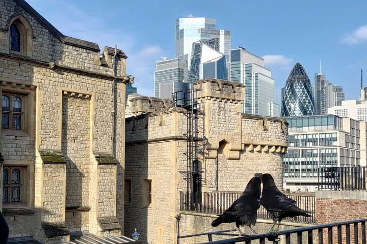 Tower of London & Tower Bridge Private Tour — Crown Jewels, Engine Rooms, and River Views photo 1