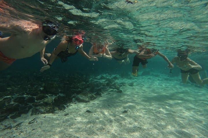 Musandam Snorkeling from Dubai: Day Trip to Dibba with Lunch & Transfers photo 2