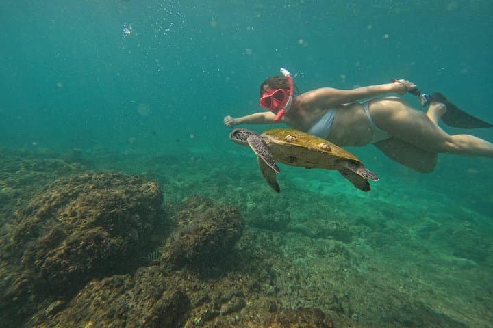 Musandam Snorkeling from Dubai: Day Trip to Dibba with Lunch & Transfers photo 1