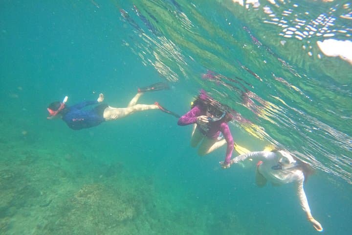 Musandam Snorkeling from Dubai: Day Trip to Dibba with Lunch & Transfers photo 4