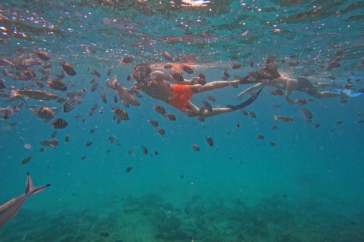 Musandam Snorkeling from Dubai: Day Trip to Dibba with Lunch & Transfers photo 3
