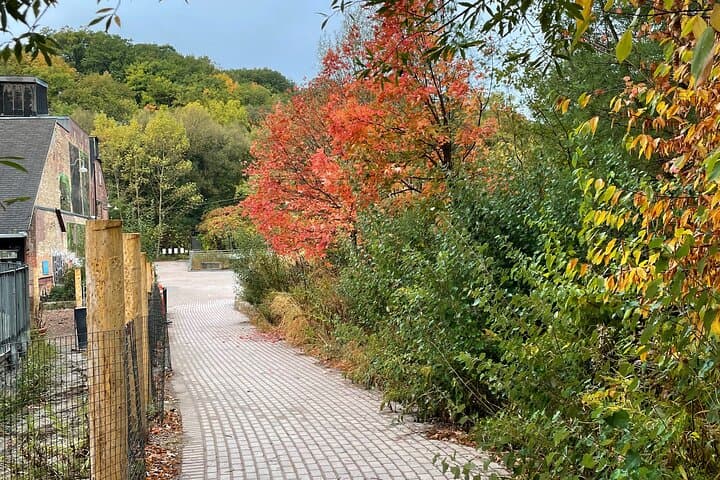 Market-to-Market Breakfast Tour: St. Lawrence Market to Evergreen Brick Works by Bike photo 4