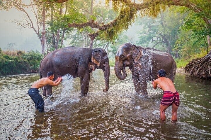 Private Elephant Haven Day Trip from Bangkok to Kanchanaburi