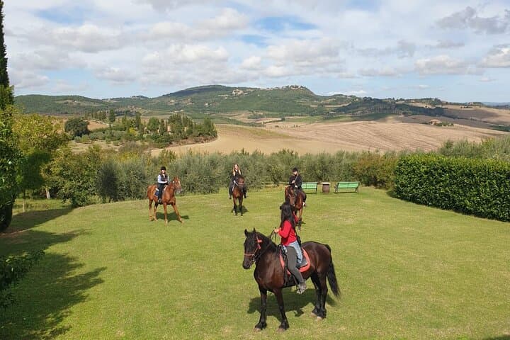 Horseback Riding Through Vineyards in Montepulciano: Tuscan Equestrian Tour photo 2