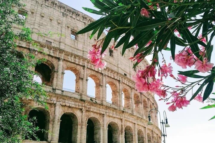Rome On Your Own: Full-Day Independent Tour from Civitavecchia