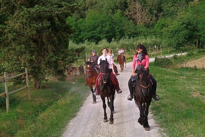 Horseback Riding Through Vineyards in Montepulciano: Tuscan Equestrian Tour photo 1
