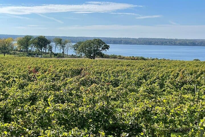 Private 6-Hour Finger Lakes Wine Tour from Geneva — Custom Tastings for Up to 6 photo 2