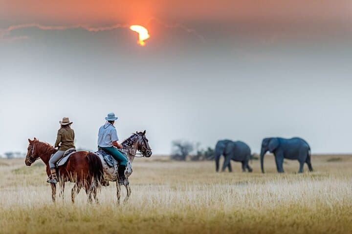 Luxury 5-Day Tanzania Lodge Safari: Tarangire, Serengeti & Ngorongoro